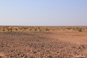 Desert views, Qatar 2014 (10b smaller) © Nigel Reeve